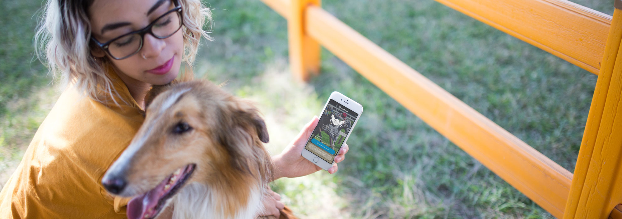 A woman sitting on the grass by a wooden fence with a collie, holding an iPhone that shows a photo of a horse
