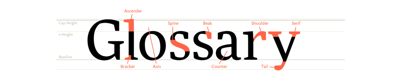 The word Glossary labelled with the parts of a letter: ascender, spine, beak, shoulder, serif, bracket, axis, counter and tail