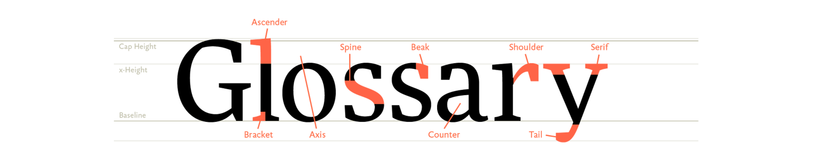 The word Glossary labelled with the parts of a letter: ascender, spine, beak, shoulder, serif, bracket, axis, counter and tail